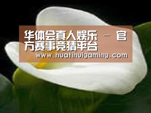 产品名称七
