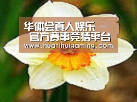 产品名称四
