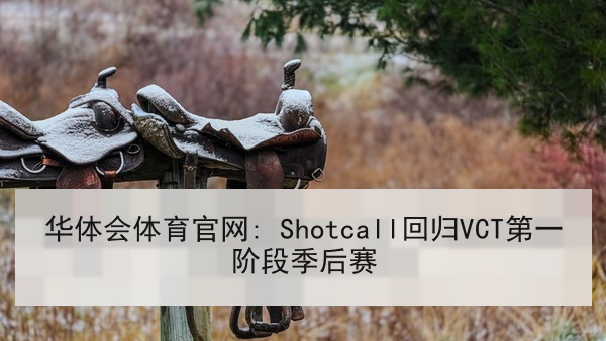 华体会体育官网: Shotcall回归VCT第一阶段季后赛