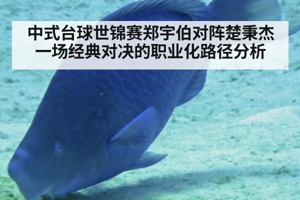 中式台球世锦赛郑宇伯对阵楚秉杰一场经典对决的职业化路径分析